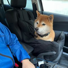 とろけるドライブベッド