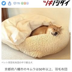 yahooニュース