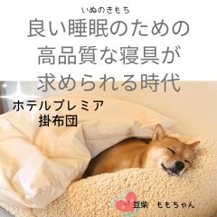 いぬのきもち　ホテルプレミア掛布団