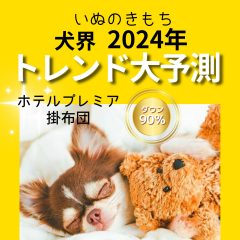 いぬのきもち 1月号 ホテルプレミア掛布団