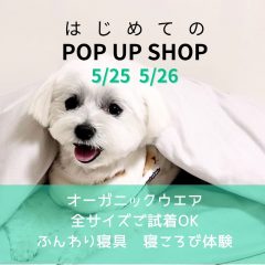 ポップアップストア