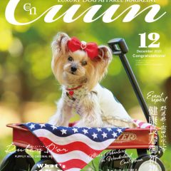cuun12月発売号